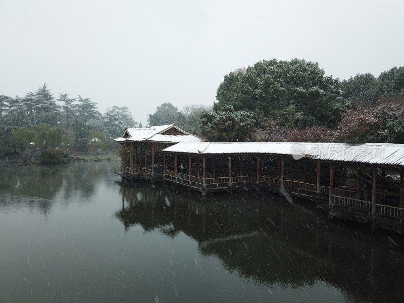 江南的第一场雪，摄于西湖花港观鱼