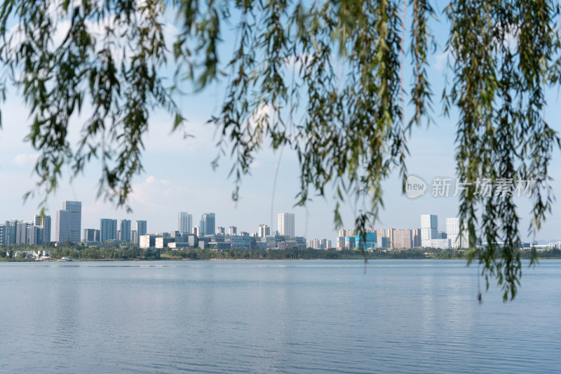 成都兴隆湖湿地公园风景