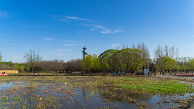 奥林匹克公园湿地公园