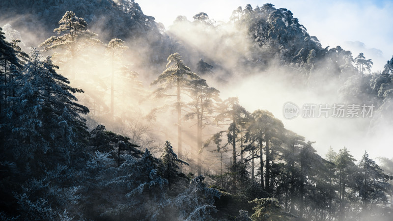 黄山云海 日出雾凇 黄山航拍 风景 自然风光