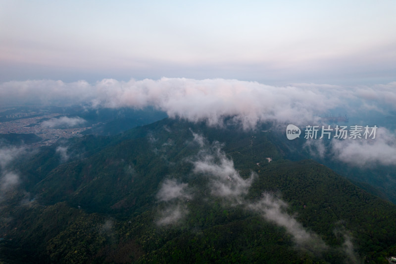 深圳梧桐山