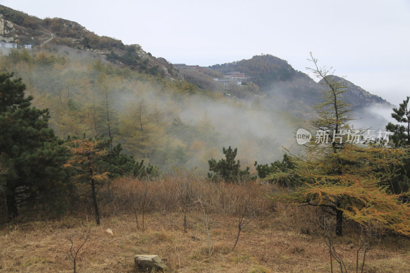 云雾缭绕的泰山