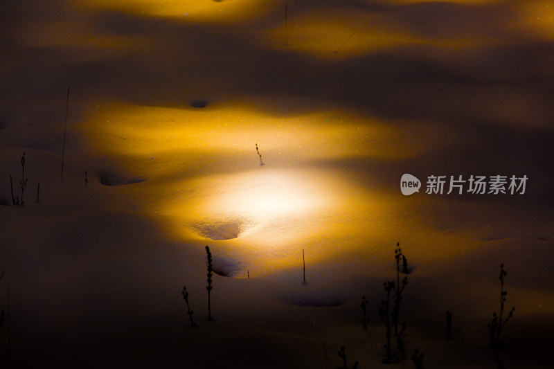 阳光中的雪景