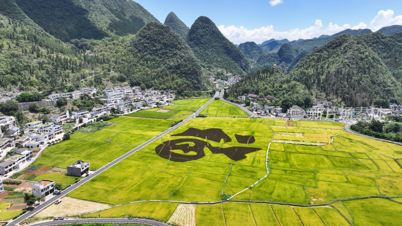 贵州兴义万峰林稻田画乡村振兴风光航拍