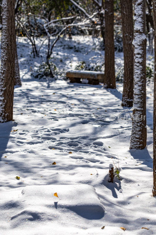 济南泉城公园自然景观雪景