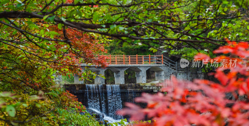 河南省洛阳白云山九龙潭秋天风景