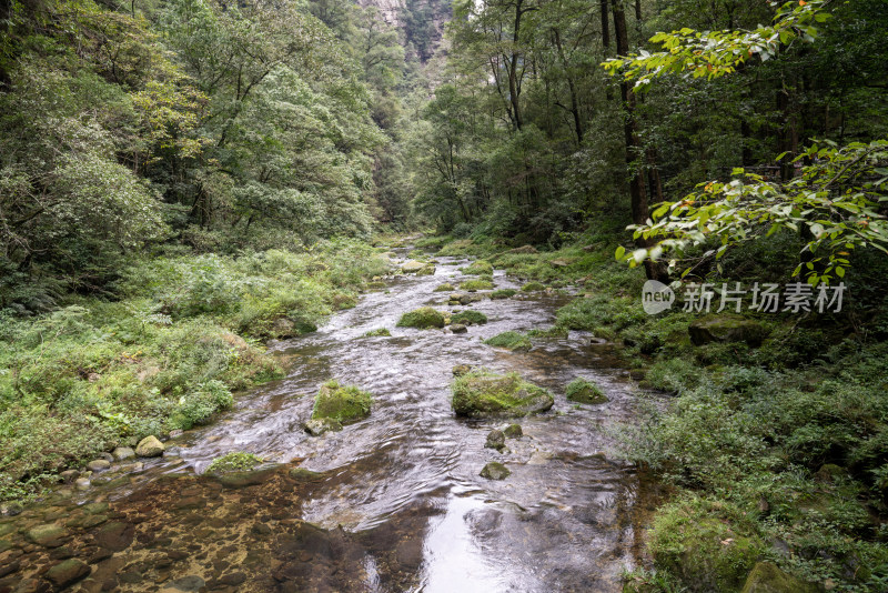 张家界国家森林公园