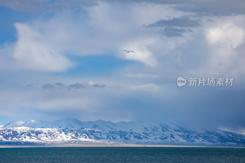 青海湖边的雪山