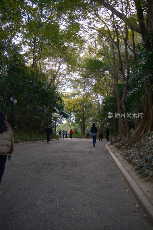 深圳莲花山公园