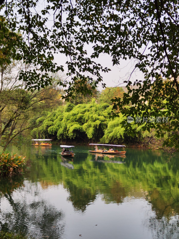 浴鹄湾上船只与周边绿植风景