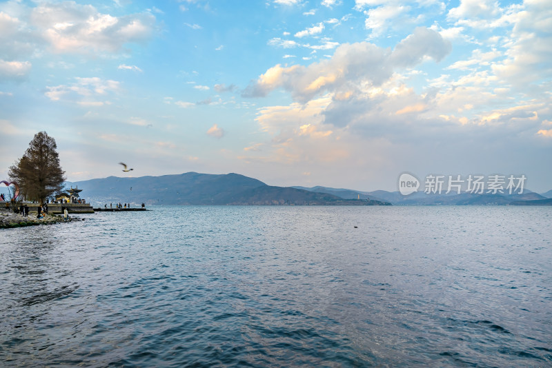 湖边有树的开阔水域及远山风景