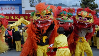 节日舞狮庆祝狮舞