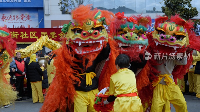 节日舞狮庆祝狮舞