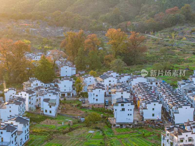 航拍江西婺源石城徽派建筑秋色枫叶村庄日出