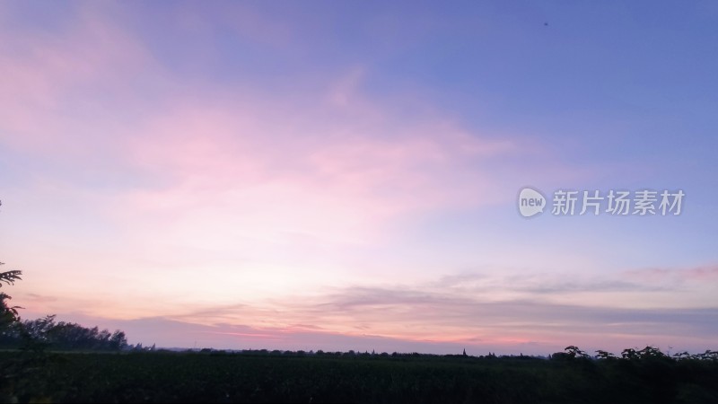 开阔田野上的唯美粉紫色天空日落景象