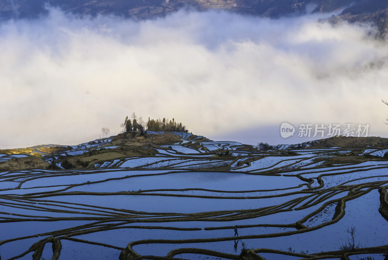 云南元阳梯田