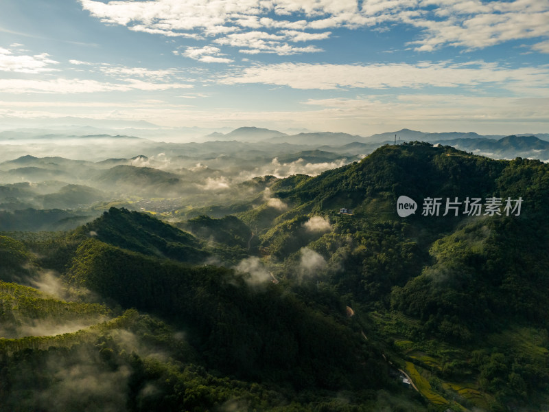 大山原生态高山云海森林绿美