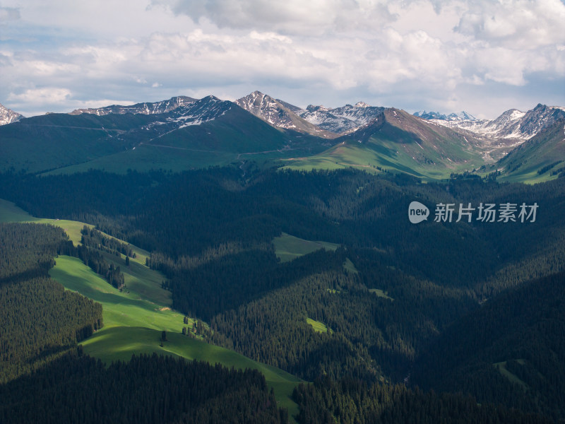 航拍夏天的新疆喀拉峻草原后山