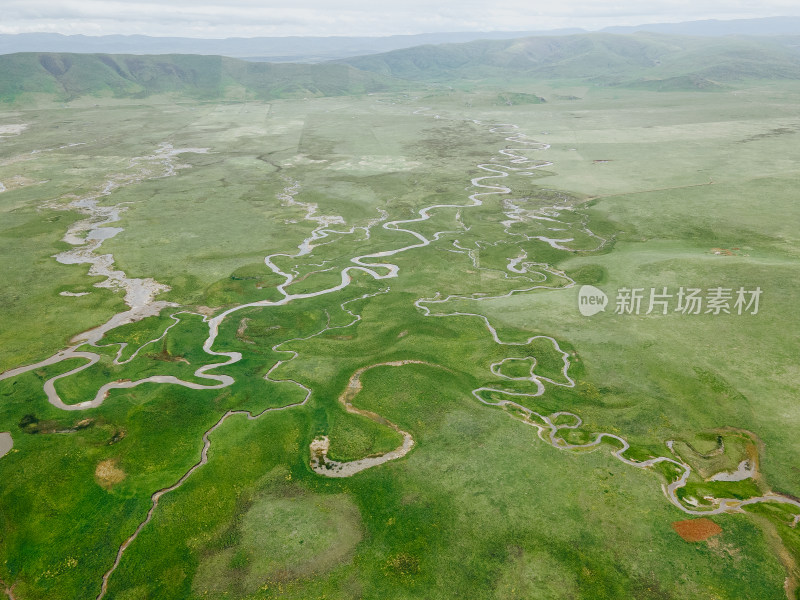 甘南藏族自治州郭莽湿地