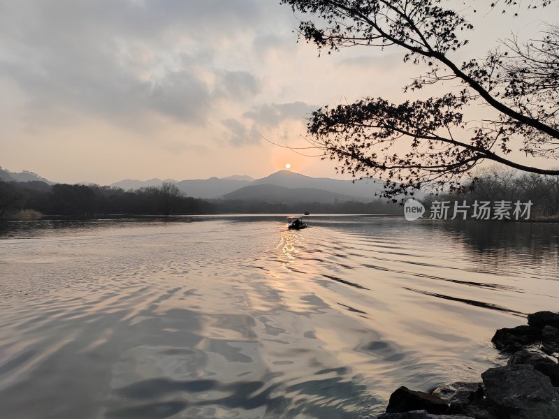 天空中飞鸟翱翔的景象