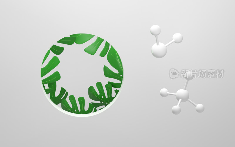 龟背竹创意背景与分子 3D渲染