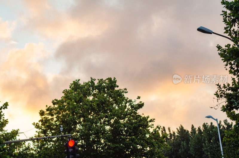 仰拍天空树木与红灯