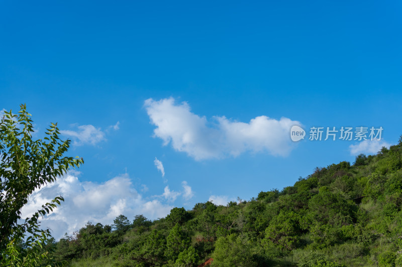 蓝天白云下的葱郁山坡自然风景