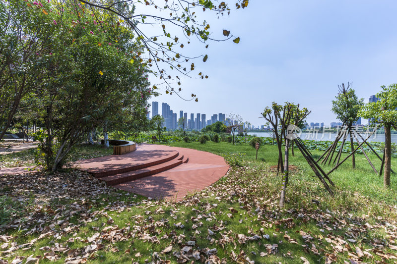 武汉江夏区汤逊湖壹号湿地公园风景