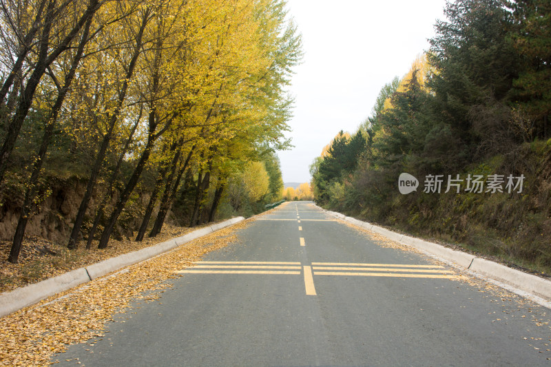 秋天的乡村公路