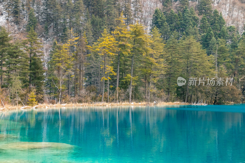 九寨沟碧绿湖水