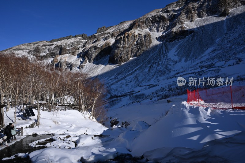 雪山下的雪后场景，树木与积雪相映