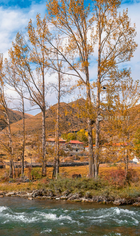 川西新都桥318秋色日出红叶贡嘎美景