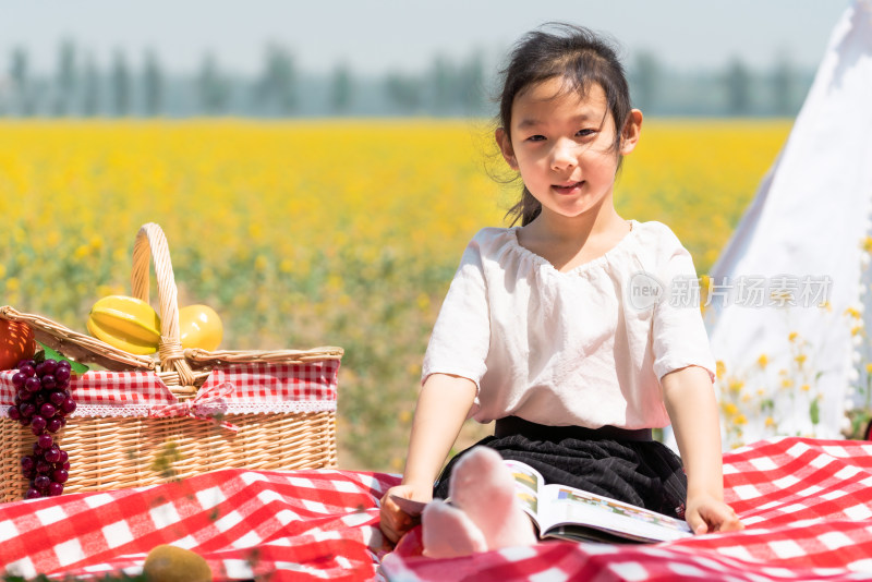 夏天坐在油菜花田边看书的女孩