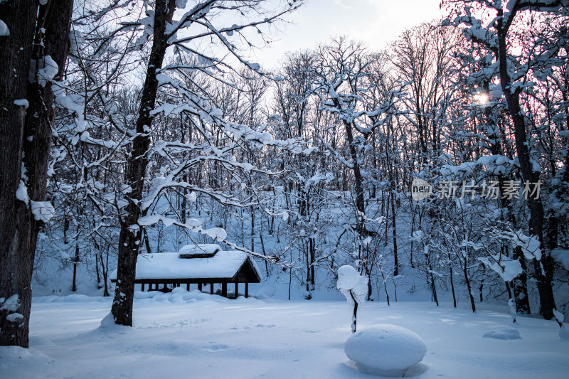 雪中树林里的小屋景致