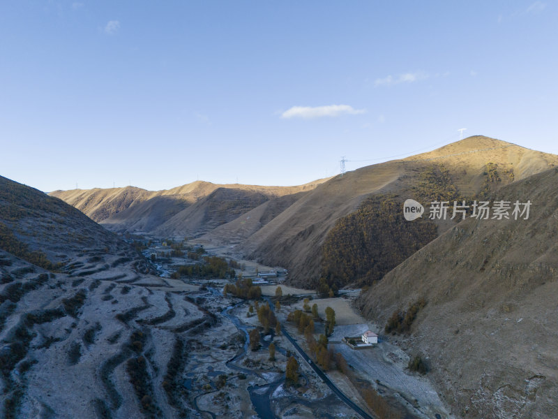 四川新都桥秋天早晨下雪积雪彩林