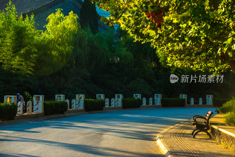 公园道路旁长椅与绿树景观