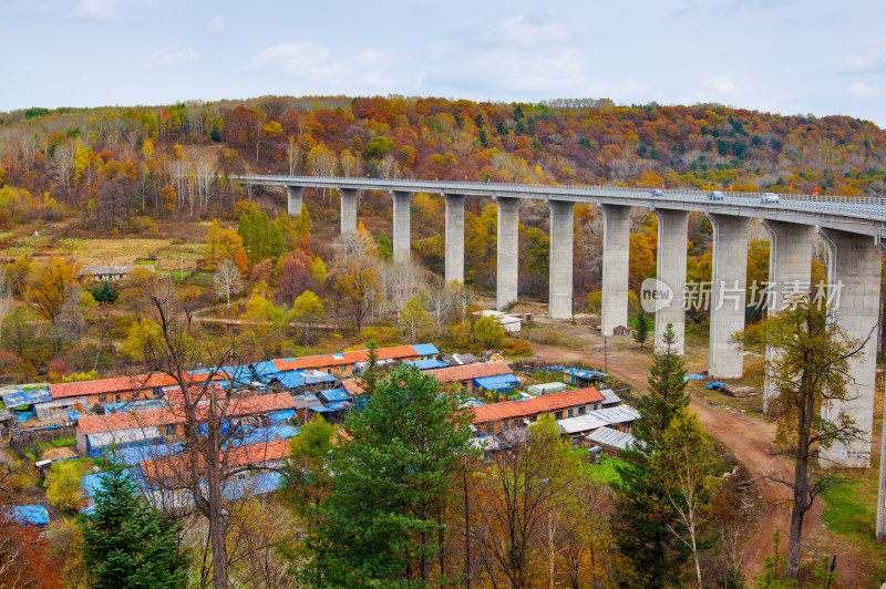 长白山景区五彩森林中横跨的高架桥