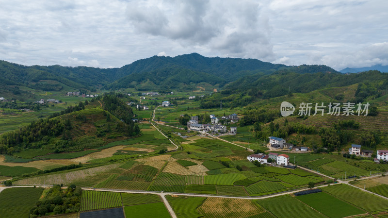 航拍武夷山绿色农田与茶园