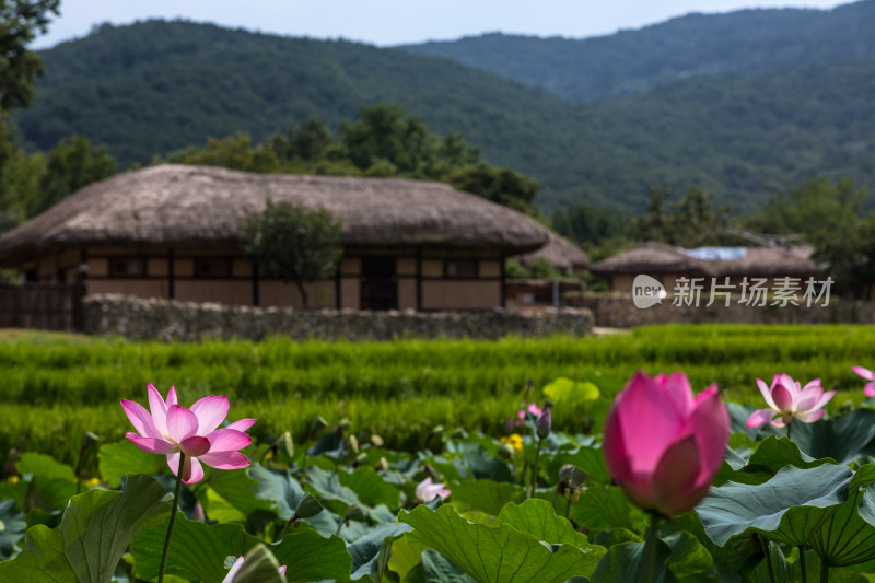 韩国著名的古村