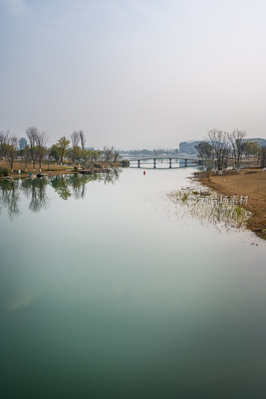 城市公园湖畔风景