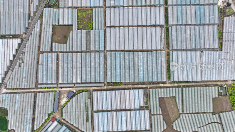 航拍农业大棚基地 农业产业乡村振兴