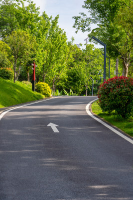 公园和园林里的道路