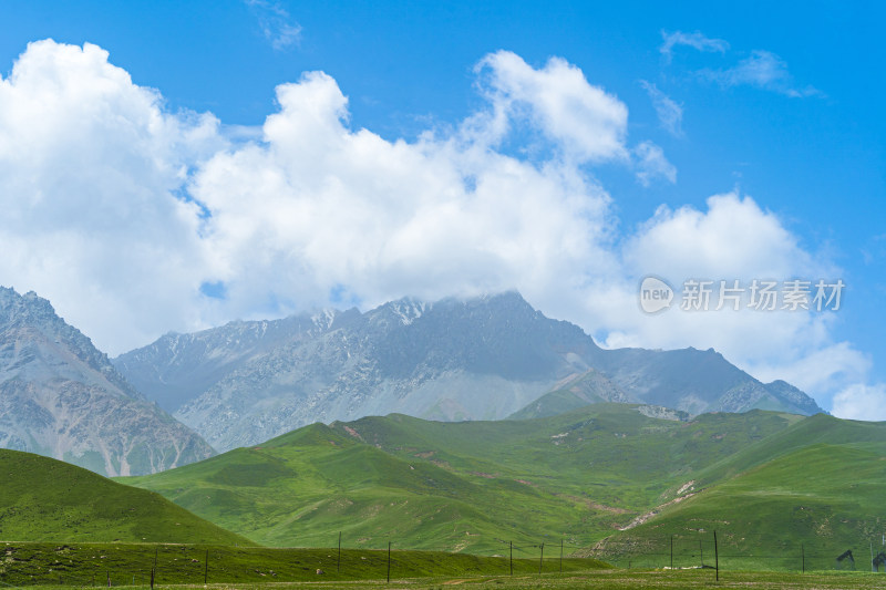 青海祁连山国家公园，高山草原牧场与雪山