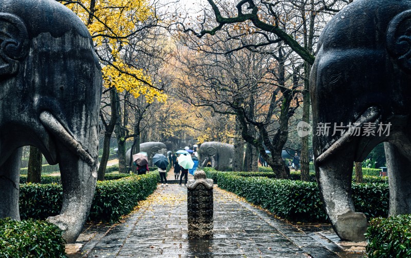 秋日石象景观小道雨中明孝陵