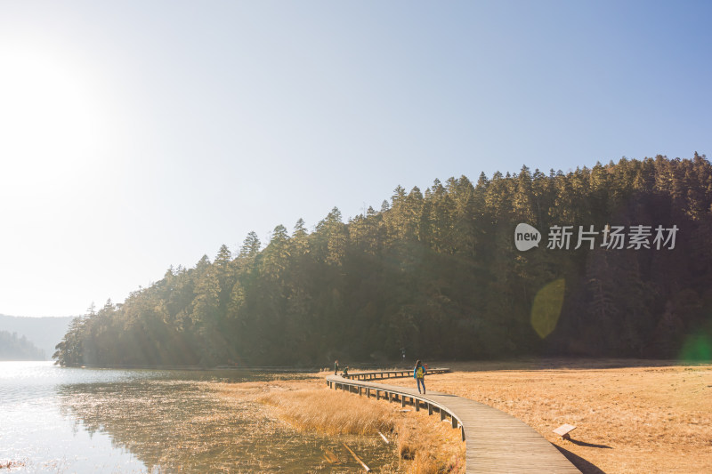 林间湖畔木栈道