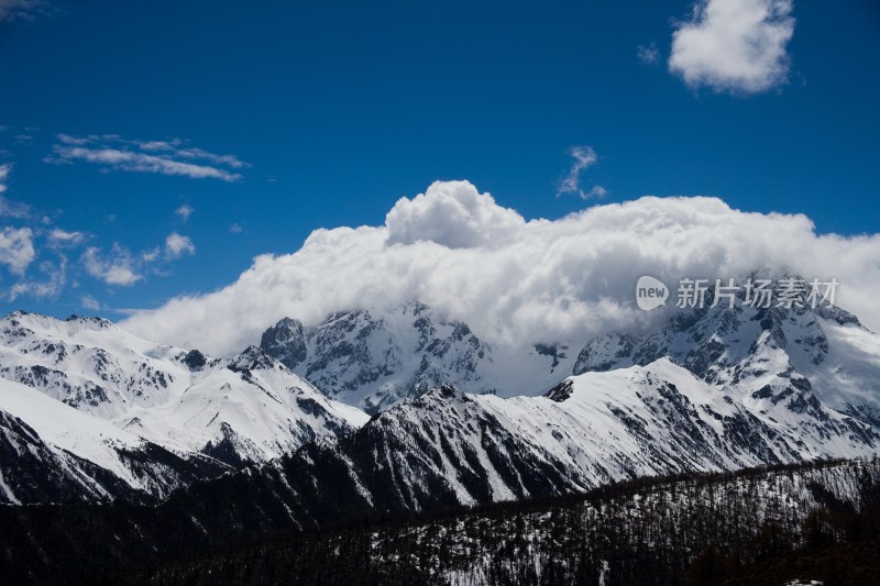 白马雪山