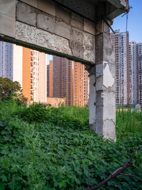 高楼旁荒废建筑长满杂草的景象