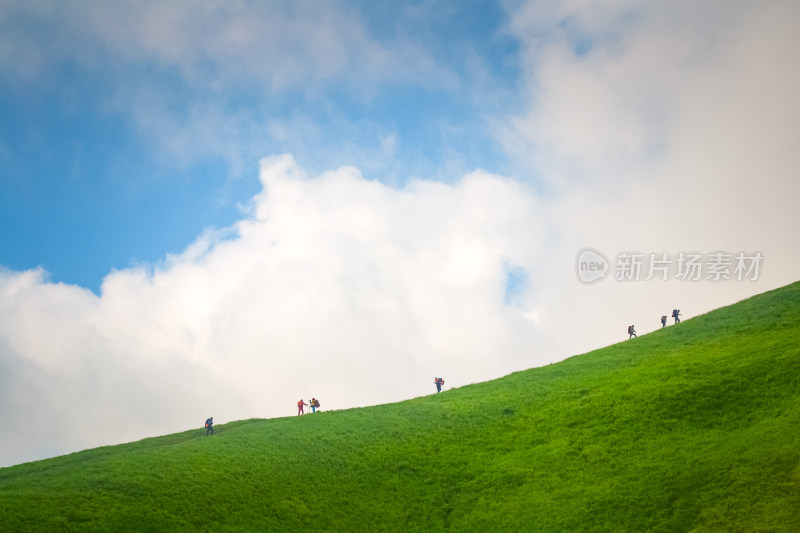 夏天江西武功山的高山草甸