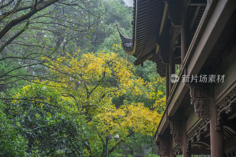 杭州宝石山连横纪念馆玛瑙寺旧址