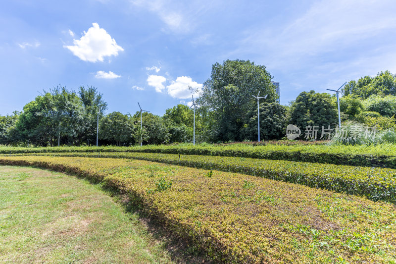 武汉汉口江滩公园风景